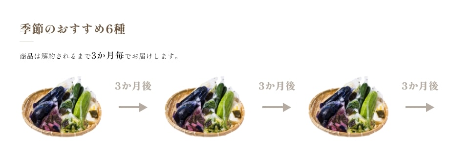 季節のおすすめ6種